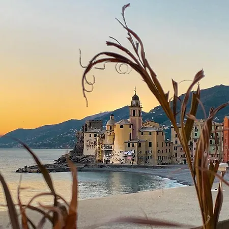 House Stefania Διαμέρισμα Camogli